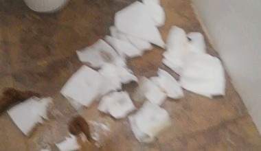 Campingplatz Klo VERSAUT KACKE & PISSE & MÜLL AUSGEKIPPT & RUMGESCHMIERT