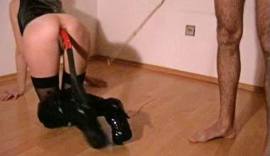 Schweif in Arsch - Catwoman training Pt3