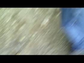 Diarrhea - shitting in the woods