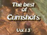 The Best of Cumshots Vol.13