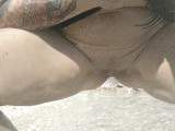 Ins Meer gepisst. Outdoor PUPLIK