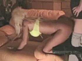 Vorschaubild vom Privatporno mit dem Titel "Viel Ficken!" von HotTamara