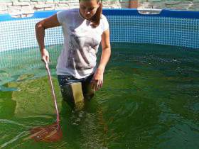 Jackie in jeans shorts and waders in the pool