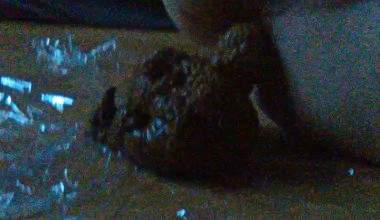 Erst hart dann weiche Scheisse