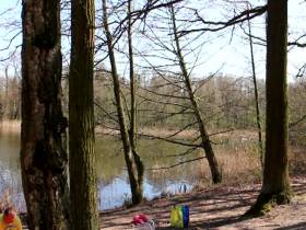 Natursekt am Güterfelder See