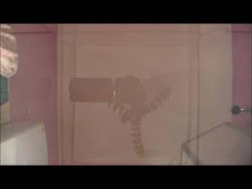 Ich piss dir in die Fresse