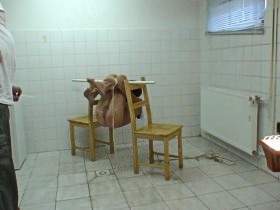 Vorschaubild vom Privatporno mit dem Titel "Wasser Bondage Teil 2" von SMBoy