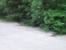 Pissing on the ass of the world