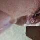 Tits and pussy licking
