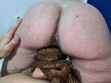 A kilo of poop to fuck dirty