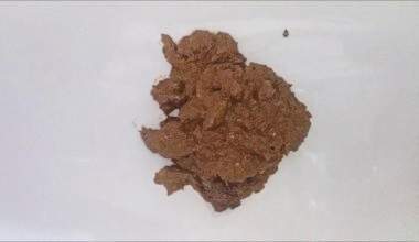 Hier ist ein schöner Korb mit Kot für Sie