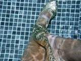 Gymnastics slippers in the pool 3