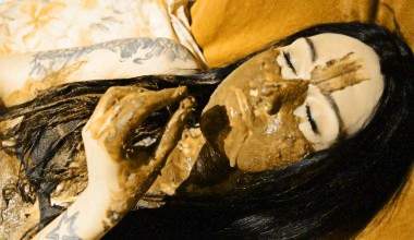 Tier Magnetismus Mädchen in der Scheiße! WAS?