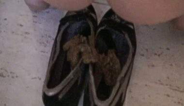 In meine Ballerinas gekackt.