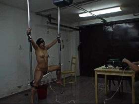 Vorschaubild vom Privatporno mit dem Titel "Elektro Verhör Teil 2" von SMBoy