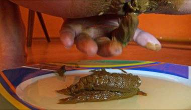 scat essen Erbrochenem Show