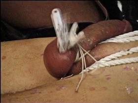 Constrict and pinch testicles and bondage video