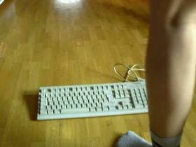 Sausage on keyboard
