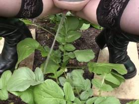 In the vegetable garden cast / fertilized :-)