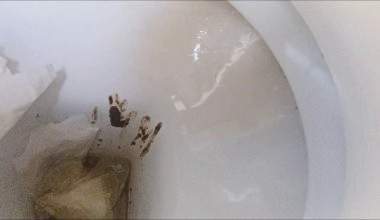 heiße Sessions im Badezimmer