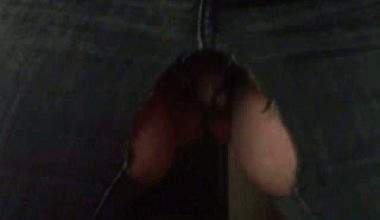 Piss Luder