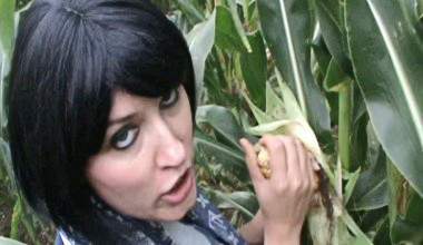 GIB mir deinen KOLBEN!