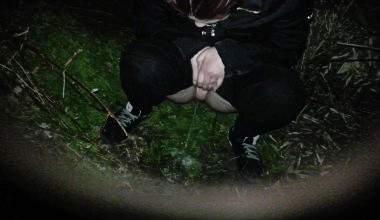 Ohjeee dringend pissen