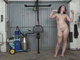 Riding and milking the Sybian