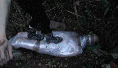 a slave worm is kicked
