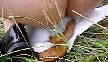 Die braune Schlange im Gras.