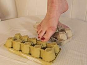 toes and egg pads