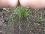 Peeing in the corn field