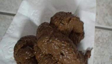 Scheissen scheissen und nochmal scheissen