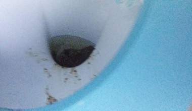 großer Arsch! aus verschiedenen Blickwinkeln sehen!