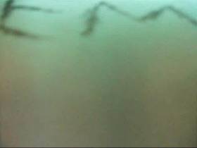 In EM panties shitting