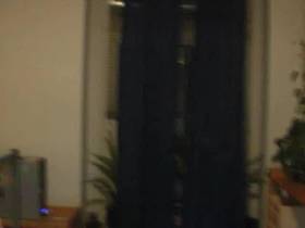 Pissed with dildo in ass