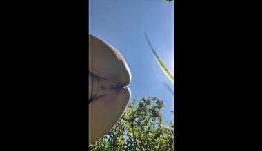 Nackt im Garten