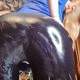 Get Lost In Latex