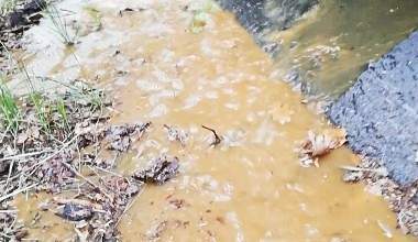 Wohnmobil Fäkalien Tank entleeren** Vorsicht stinkt **