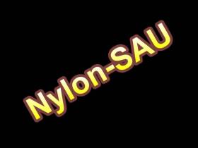 I am a Horny Nylon-Sau