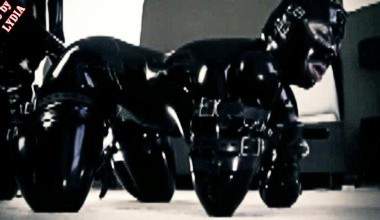 LATEX FREMDE GEZEITEN