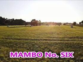 MAMBO Number SIX