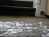 Ins BOOTS WOHNZIMMER GEKACKT