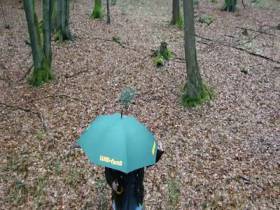 Vorschaubild vom Privatporno mit dem Titel "BRUNFTZEIT - Frau Försterin bläst an !" von Deine-Chefin