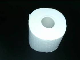 Fuck the toilet paper roll