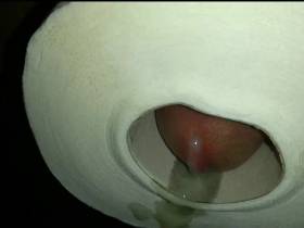 Fuck the toilet paper roll