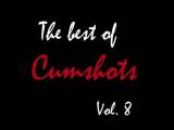 The Best of Cumshots Vol.8