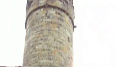 An der Burgmauer-Ladyfinger