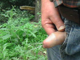 Vorschaubild vom Privatporno mit dem Titel "Pinkeln im Wald" von alaska2271br