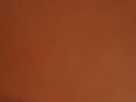 Pissing with horny back view of my Pissvotze in close ...